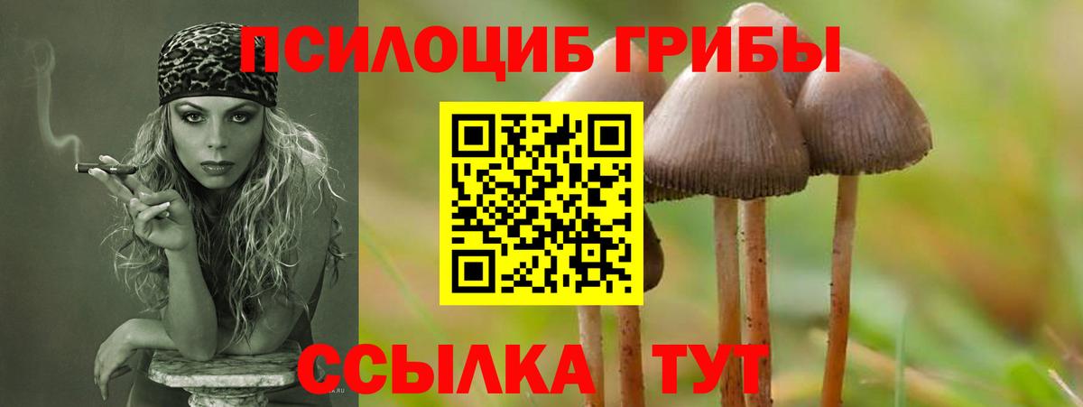 Псилоцибиновые грибы GOLDEN TEACHER  Псилоцибиновые грибы мицелий  Ялуторовск  Вход с VPN 